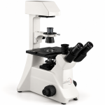 Inverted Phase Contrast Microscope